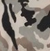 Neo Camo / S / Reg