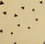 Taupe / S / Reg
